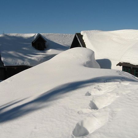 Heidi'S Schlummerkiste Am Fuss Der Teichalm Breitenau am Hochlantsch Exterior foto