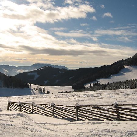 Heidi'S Schlummerkiste Am Fuss Der Teichalm Breitenau am Hochlantsch Exterior foto